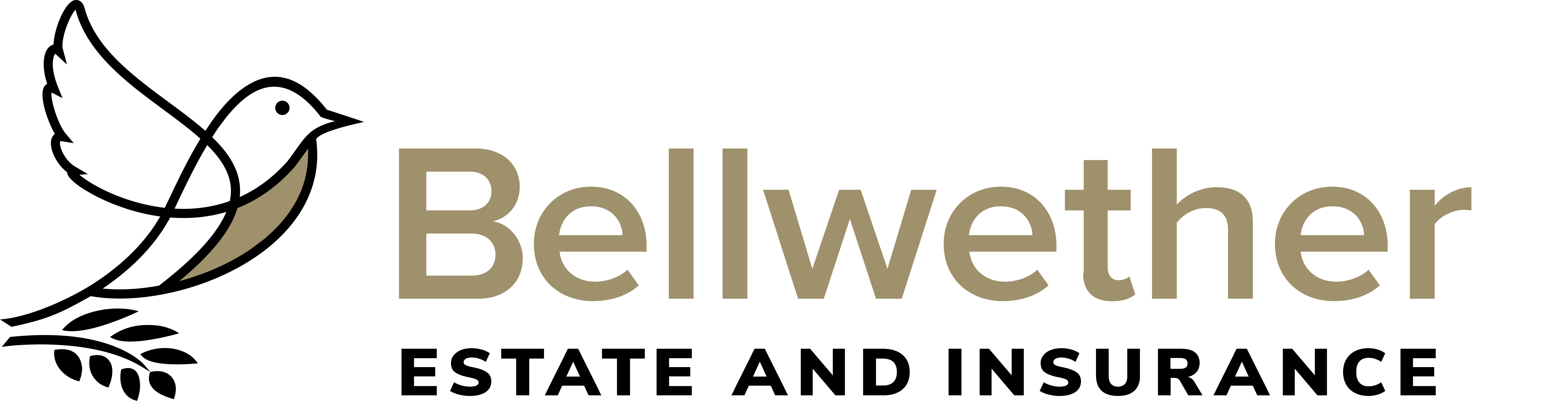 2022_bw_Bellwether_Estate-and-Insurance_Logo_RGB (3)